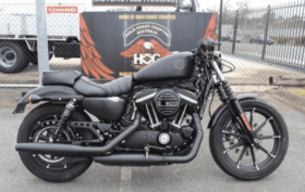 2019 Harley-Davidson Iron 883 (XL883N)