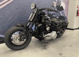 2008 Harley-Davidson Cross Bones 96 (FLSTSB)