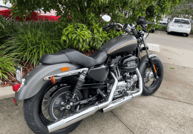 
								2019 Harley-Davidson 1200 Custom (XL1200C) full									