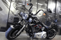 2012 Harley-Davidson Fat Boy Lo 1690 (FLSTFB)