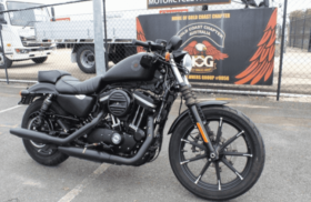2019 Harley-Davidson Iron 883 (XL883N)