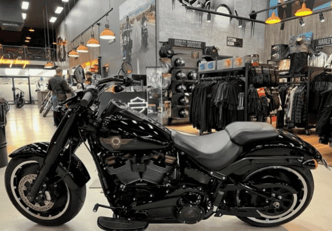 
								2020 Harley-Davidson Fat Boy 114 Anniversary (FLFBSANV) full									
