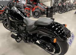 
										2020 Harley-Davidson Fat Boy 114 Anniversary (FLFBSANV) full									