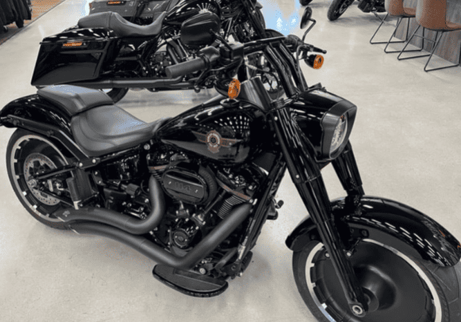 
								2020 Harley-Davidson Fat Boy 114 Anniversary (FLFBSANV) full									