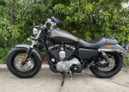 
										2019 Harley-Davidson 1200 Custom (XL1200C) full									