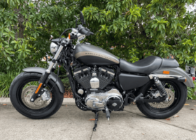 2019 Harley-Davidson 1200 Custom (XL1200C)