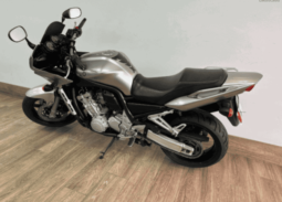 
										2020 Yamaha FZ1 (FZS1000) full									
