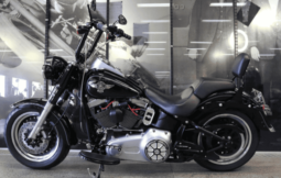 
										2012 Harley-Davidson Fat Boy Lo 1690 (FLSTFB) full									