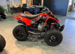 2020 Can-Am DS 90 X