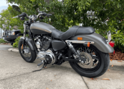 
										2019 Harley-Davidson 1200 Custom (XL1200C) full									