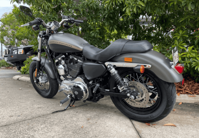 
								2019 Harley-Davidson 1200 Custom (XL1200C) full									