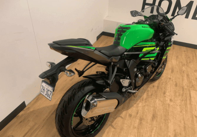 
								2019 Kawasaki Ninja ZX-6R ABS (636) KRT Edition full									