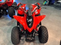 
										2020 Can-Am DS 90 X full									