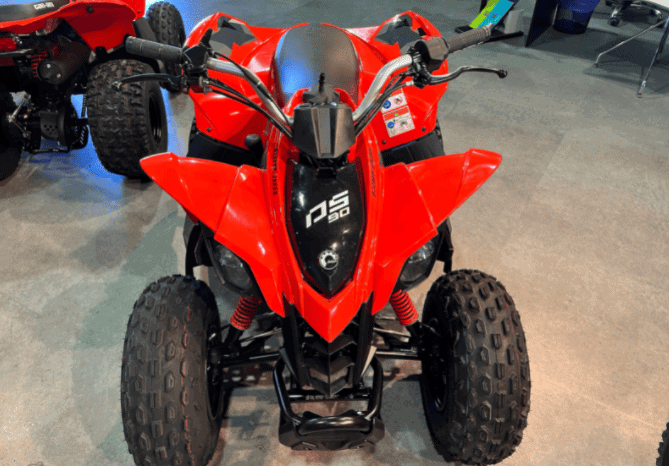 
								2020 Can-Am DS 90 X full									