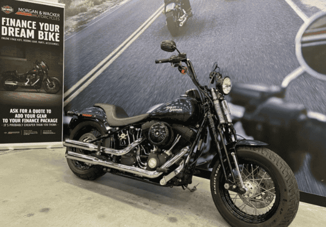 
								2009 Harley-Davidson Cross Bones 96 (FLSTSB) full									