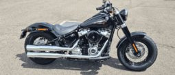 2021 Harley-Davidson Slim 107 (FLSL)