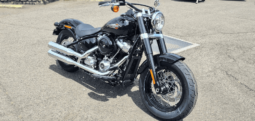 2021 Harley-Davidson Slim 107 (FLSL)