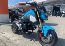 
										2019 Honda Grom (MSX125) full									