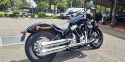 
										2021 Harley-Davidson Slim 107 (FLSL) full									
