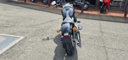 
										2021 Harley-Davidson Slim 107 (FLSL) full									