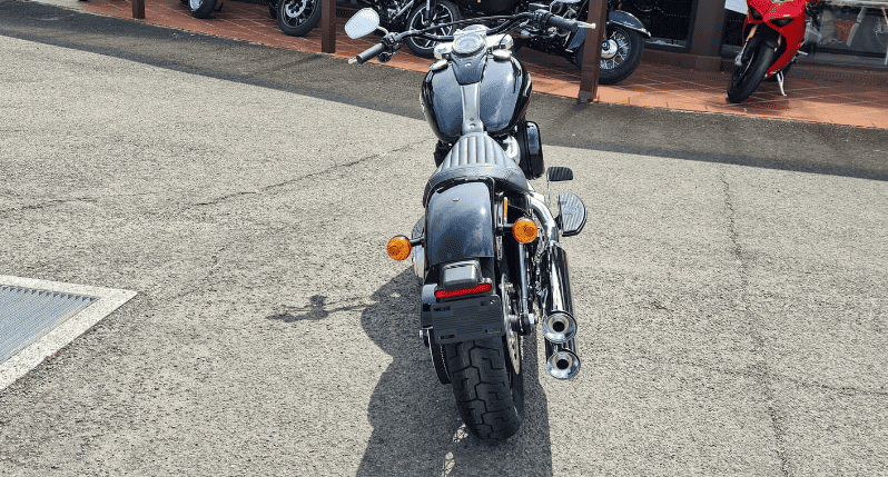 
								2021 Harley-Davidson Slim 107 (FLSL) full									