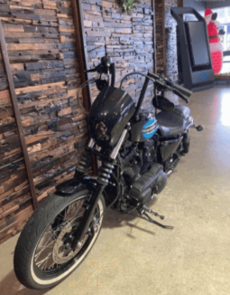 
										2018 Harley-Davidson Iron 1200 (XL1200NS) full									